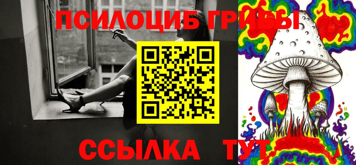 Псилоцибиновые грибы Psilocybe Советск