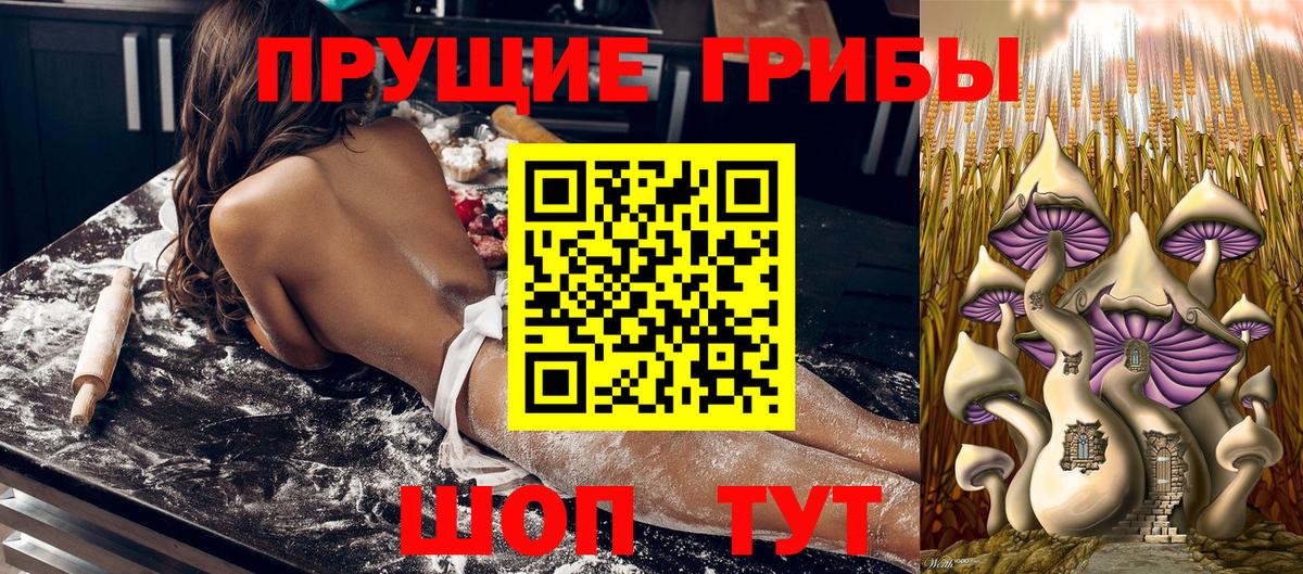 Советск  Галлюциногенные грибы Psilocybe  Вход с VPN  Псилоцибиновые грибы прущие грибы 
